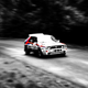 Illustration for article titled Drifts, Shoots and Leaves - Rallying on the Mountain Road